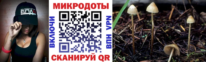 Псилоцибиновые грибы прущие грибы Назарово